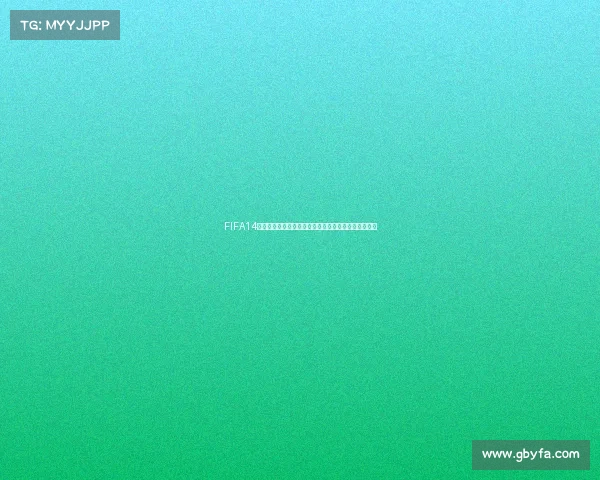 FIFA14巴西世界杯补丁使用方法详解教程攻略指南全解析攻略